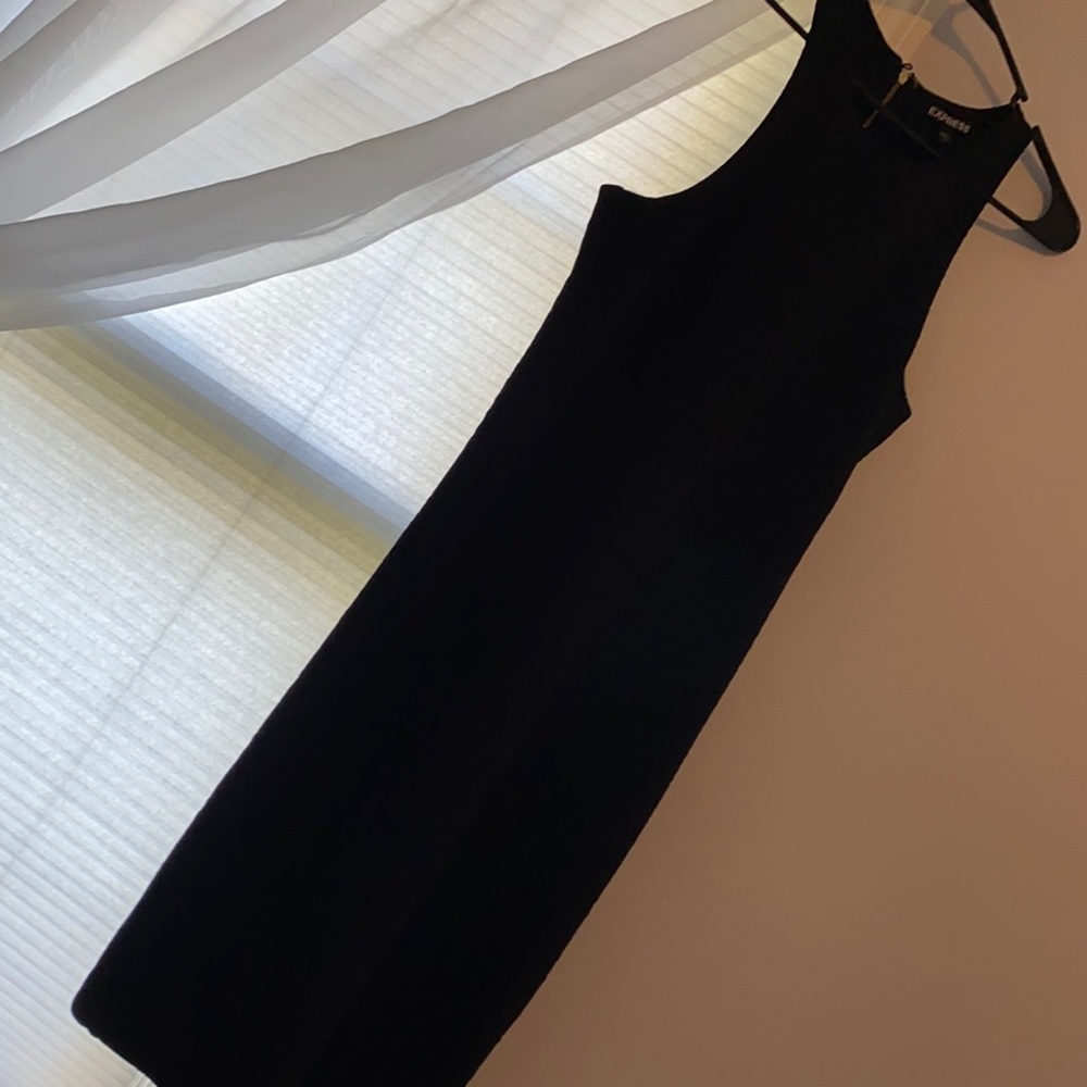 Express high neck dress